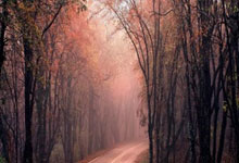 百家乐有哪些常见玩法及特点？